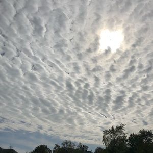 Meet your Posher, Mariam